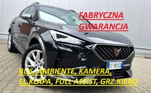 Cupra Formentor 1.5 TSI DSG 2024