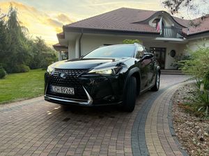 Lexus UX 250h Business Edition 2020