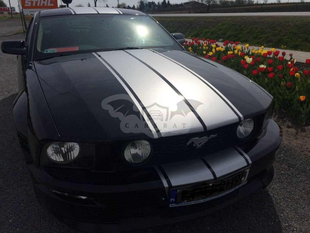 Ford Mustang 4.6 V8 GT 2007