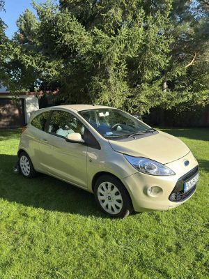 Ford KA/KA+ II 1.2 Ambiente 2009