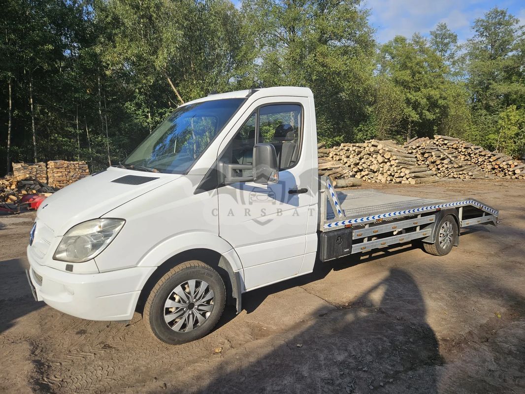 Mercedes-Benz Sprinter 2010
