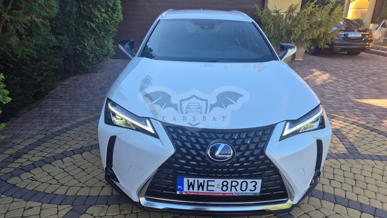 Lexus UX 250h Business Edition 2022