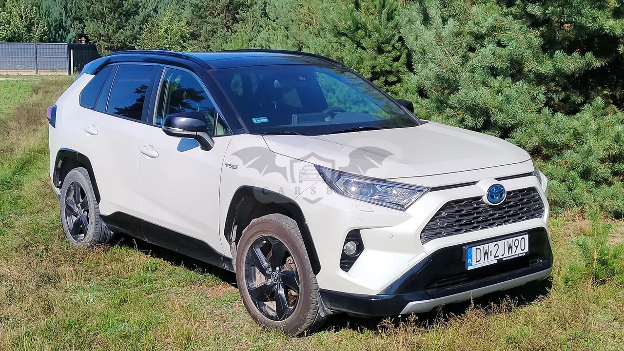 Toyota Rav4 V 2.5 Hybrid Selection 4x2 2020