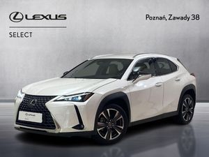 Lexus UX 300h Business 2024