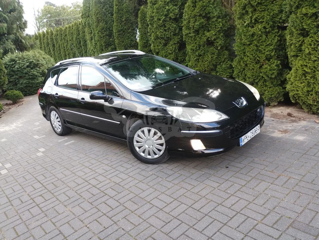 Peugeot 407 2.0 SV Executive 2005
