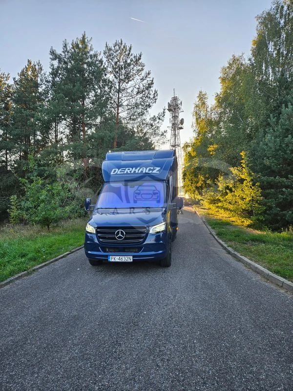 Mercedes-Benz Sprinter 2022
