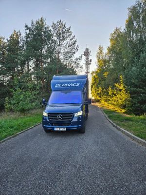 Mercedes-Benz Sprinter 2022