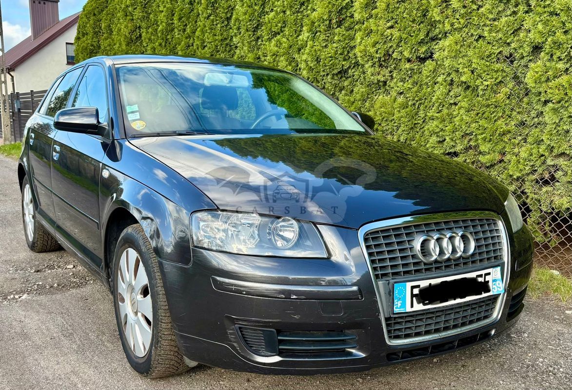 Audi A3 8P 1.9 TDI Ambiente 2008