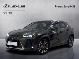 Lexus UX 300h Business 2024