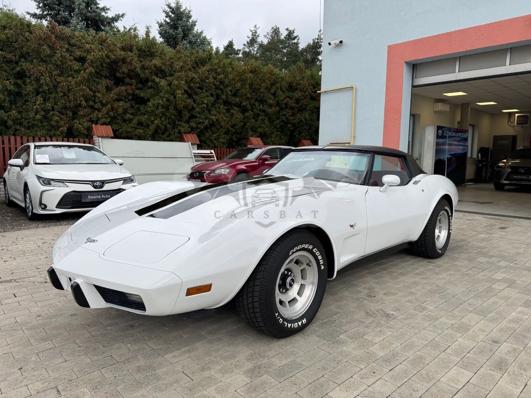 Chevrolet Corvette 1979