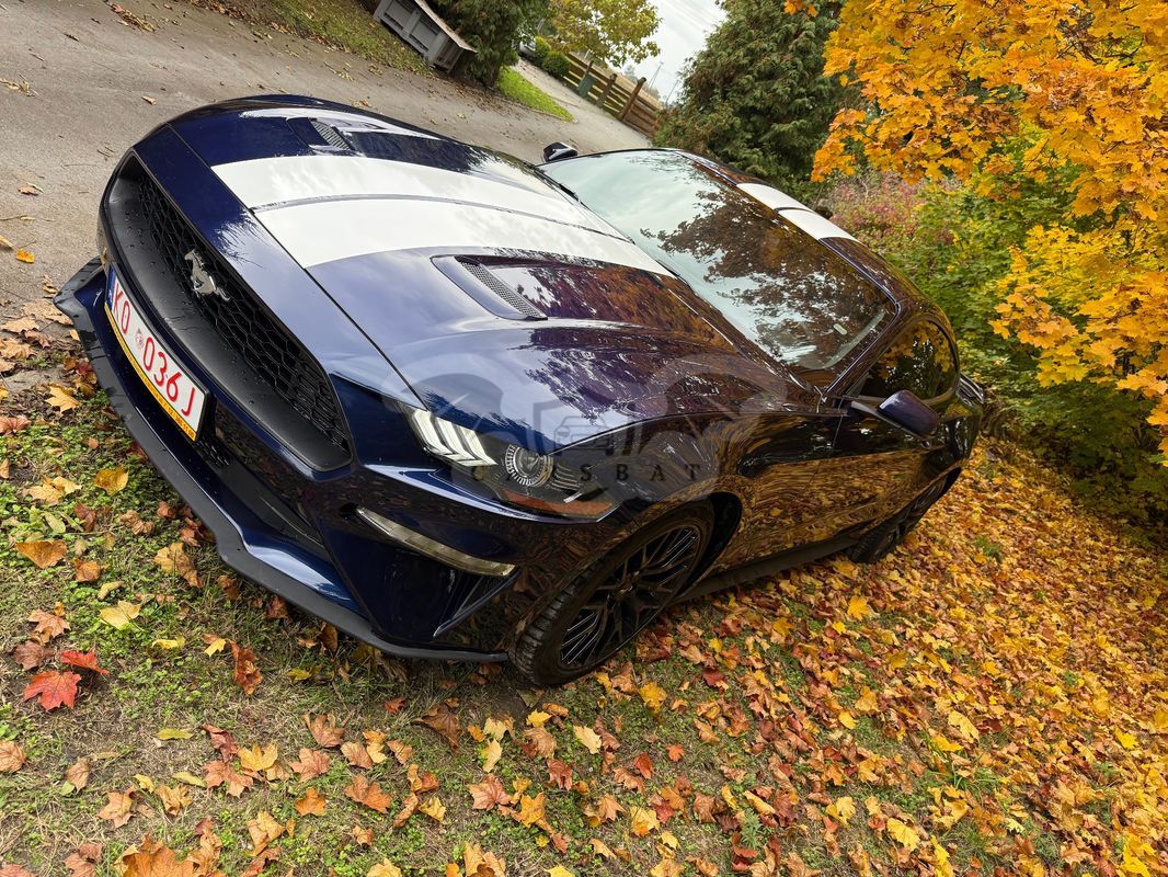 Ford Mustang 2.3 Eco Boost 2019