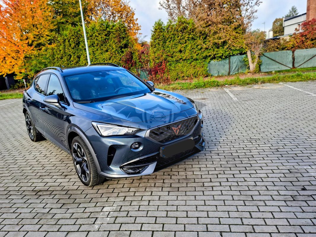 Cupra Formentor 2.0 TSI 4Drive DSG 2021