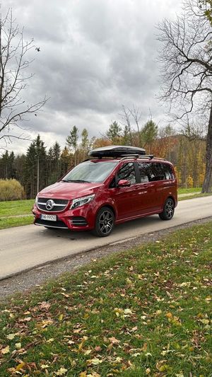 Mercedes-Benz V II 2019
