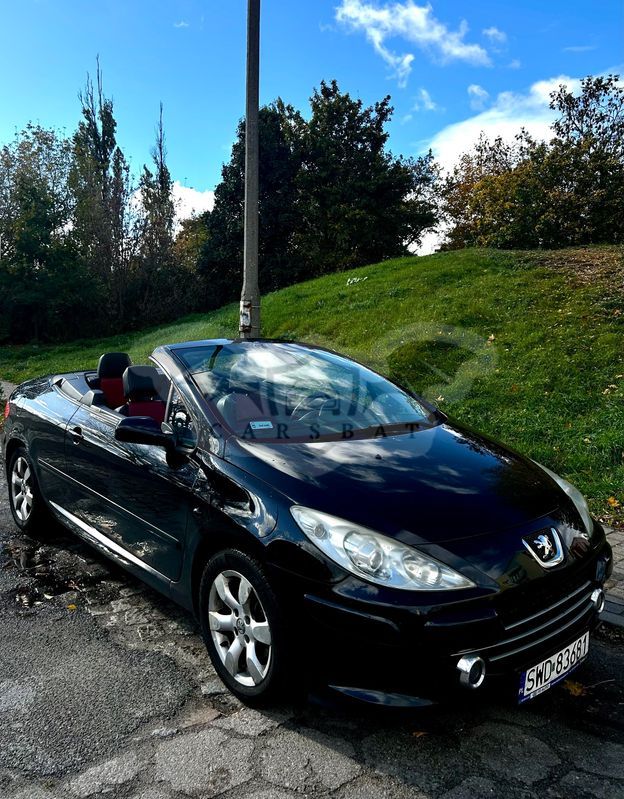 Peugeot 307 2.0 2006
