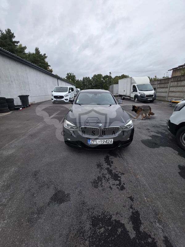 BMW 3 Series F30/F31 320i GPF xDrive Sport Line Shadow 2015
