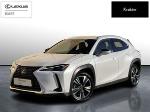 Lexus UX 300h Business 2024