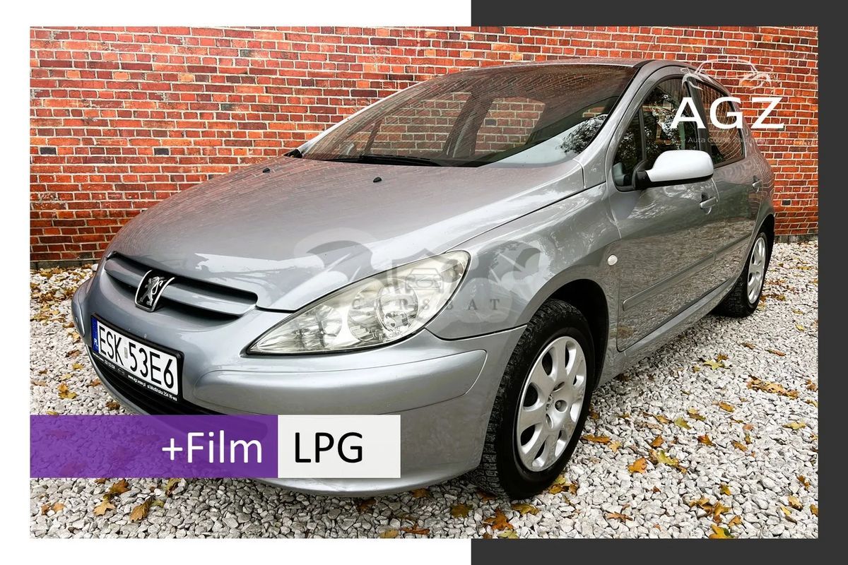 Peugeot 307 I 2005