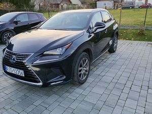 Lexus NX I 300h Business Line 2019