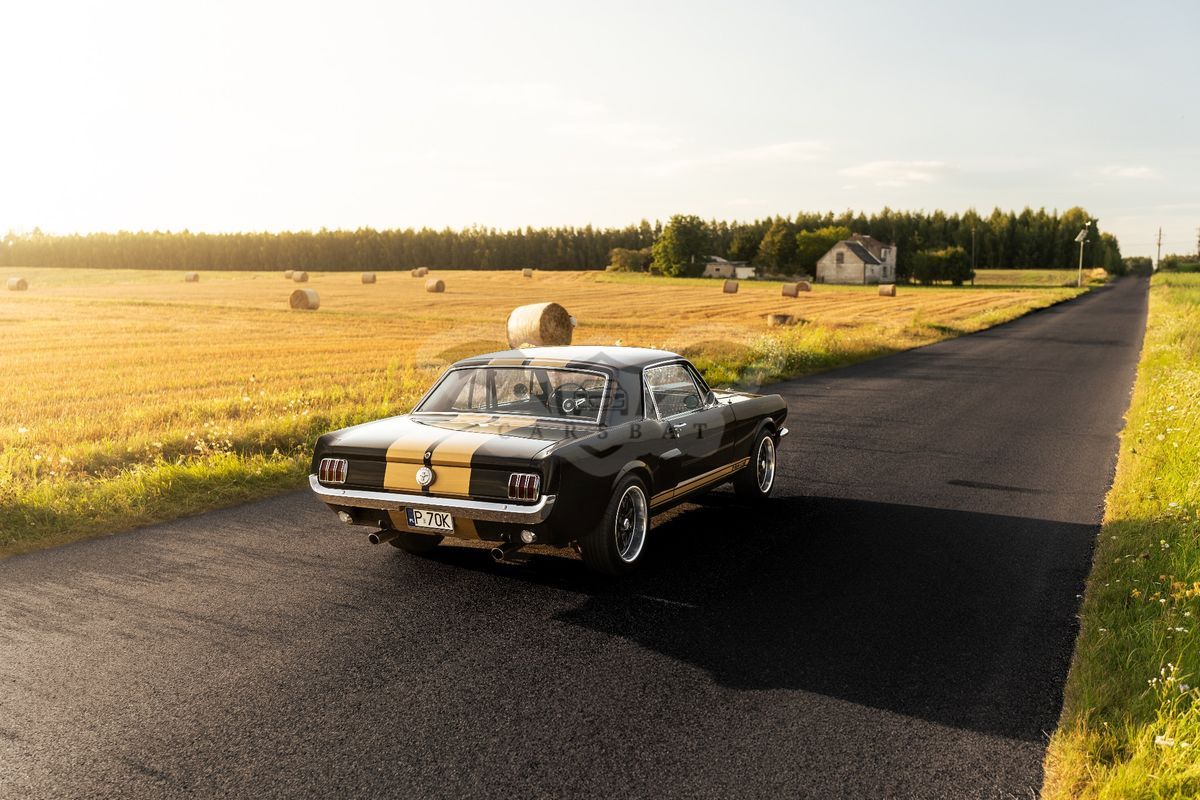 Ford Mustang 1966