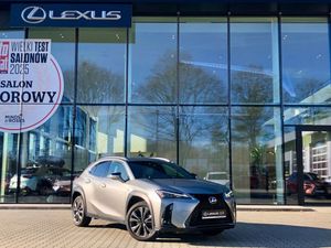 Lexus UX 300h F Sport Design 2024