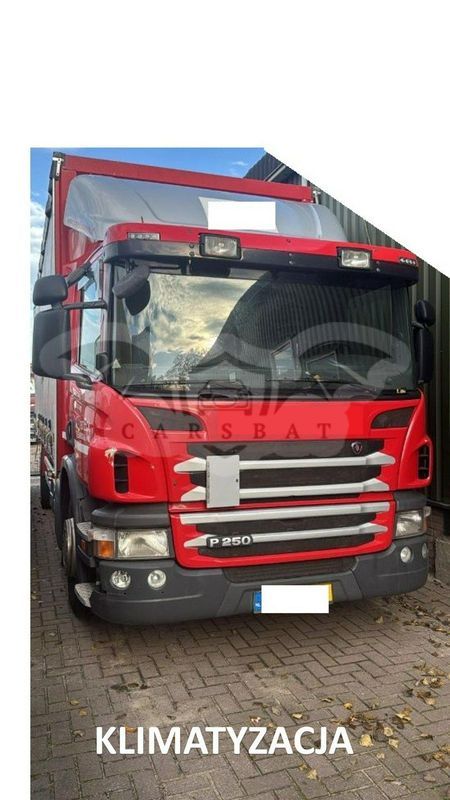 Scania P-series 2013