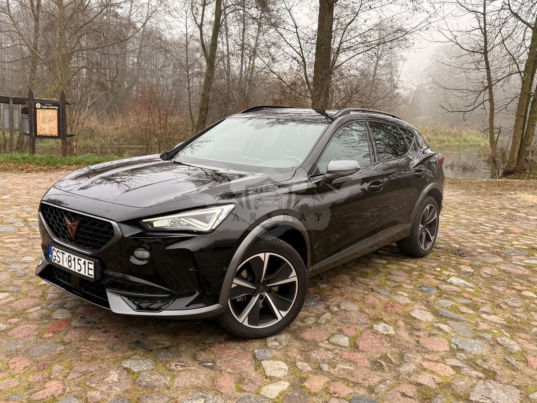 Cupra Formentor 1.5 TSI DSG 2023