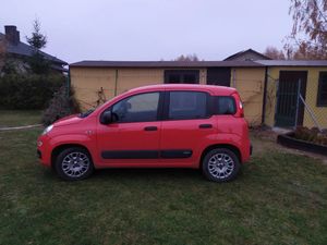 Fiat Panda III 1.2 Easy 2019