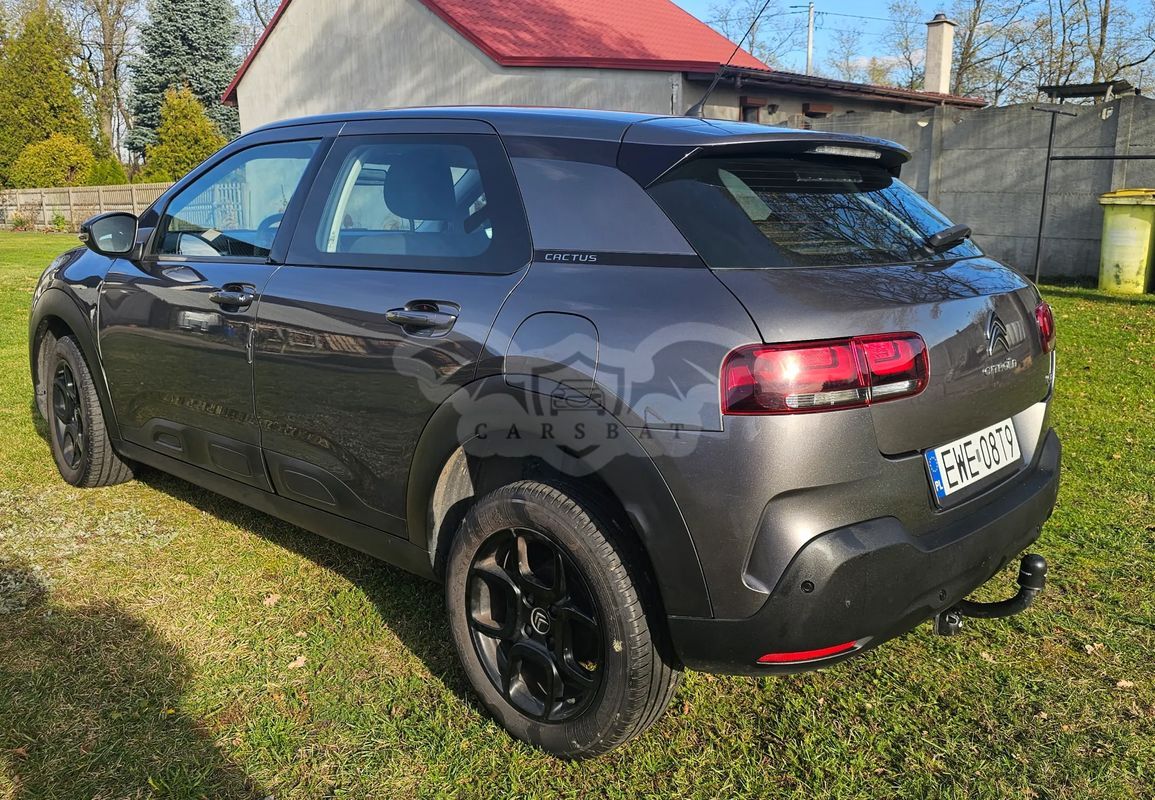 Citroën C4 Cactus 2019