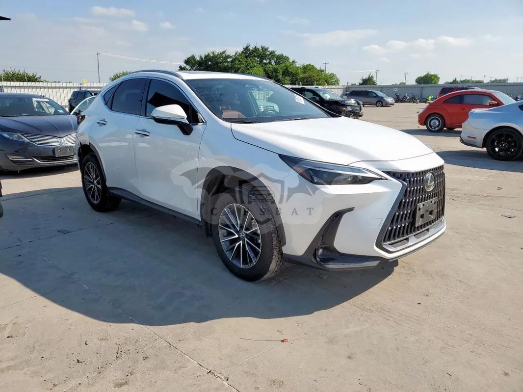 Lexus NX II 2024