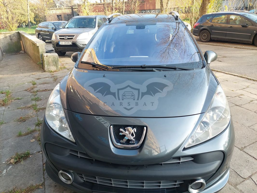 Peugeot 207 2007