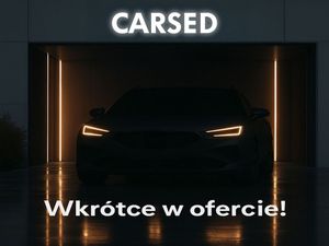 Cupra Formentor 2.0 TSI 4Drive DSG 2021