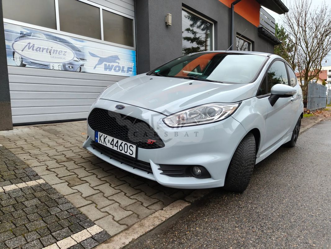 Ford Fiesta Mk7 1.6 EcoBoost ST200 2017