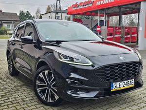 Ford Kuga III 2.0 EcoBlue AWD ST-Line X 2020