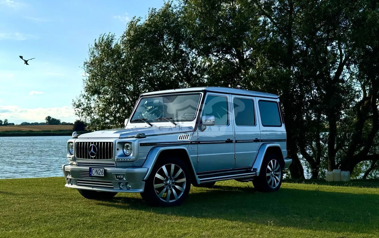 Mercedes-Benz G W463 500 7G-TRONIC 2009