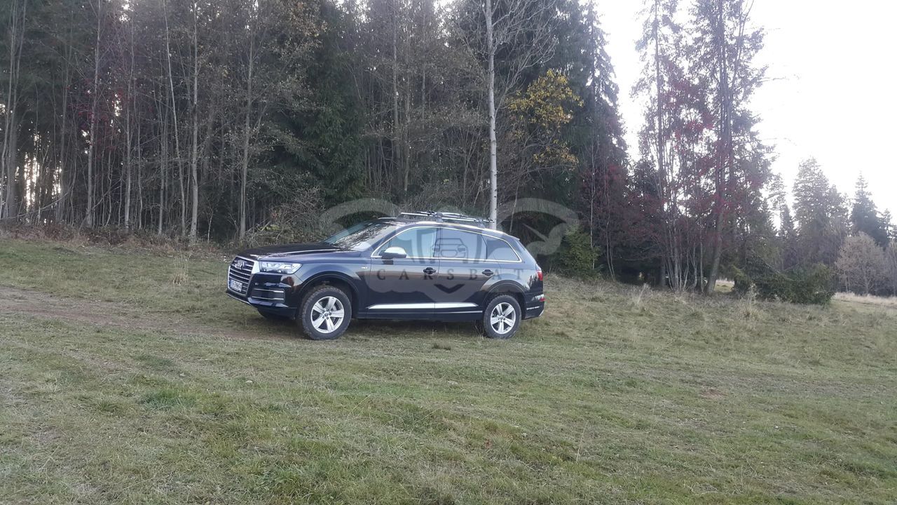 Audi Q7 II 45 TDI Quattro Tiptronic 2019
