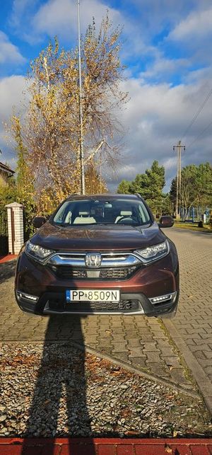 Honda CR-V V 2019
