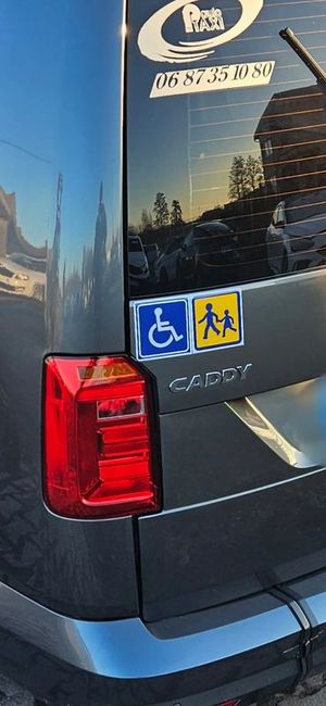Volkswagen Caddy IV 2.0 (5-Si.) Flexible Maxi 2019