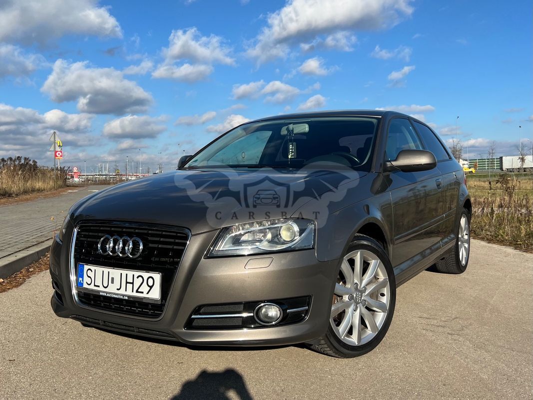 Audi A3 8P 1.6 TDI 99g DPF 2011