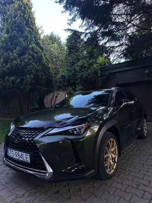 Lexus UX 200 Prestige 2WD 2019