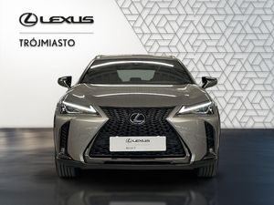 Lexus UX 250h GPF F Sport Edition 2WD 2021