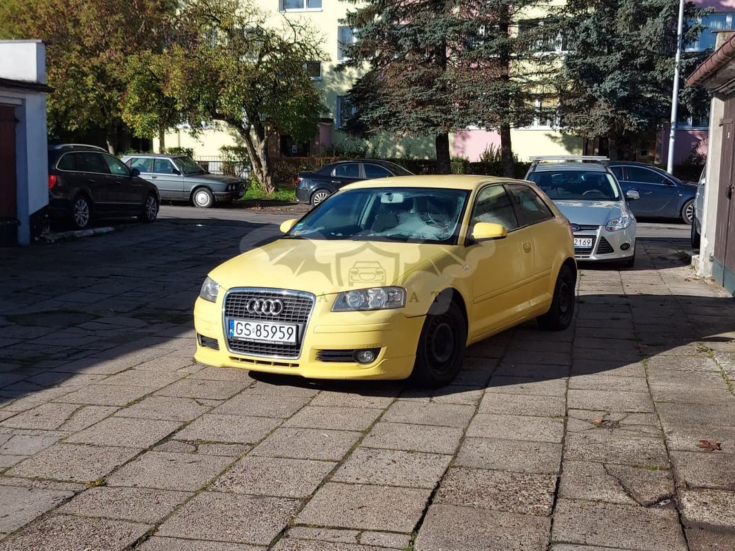 Audi A3 8P 1.6 Attraction 2004