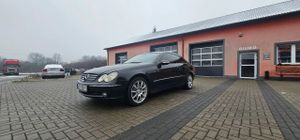 Mercedes-Benz CLK W209 2005