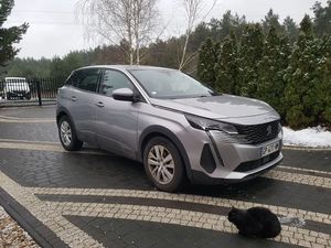 Peugeot 3008 II BlueHDi 130 Stop & Start Active Business-Paket 2021
