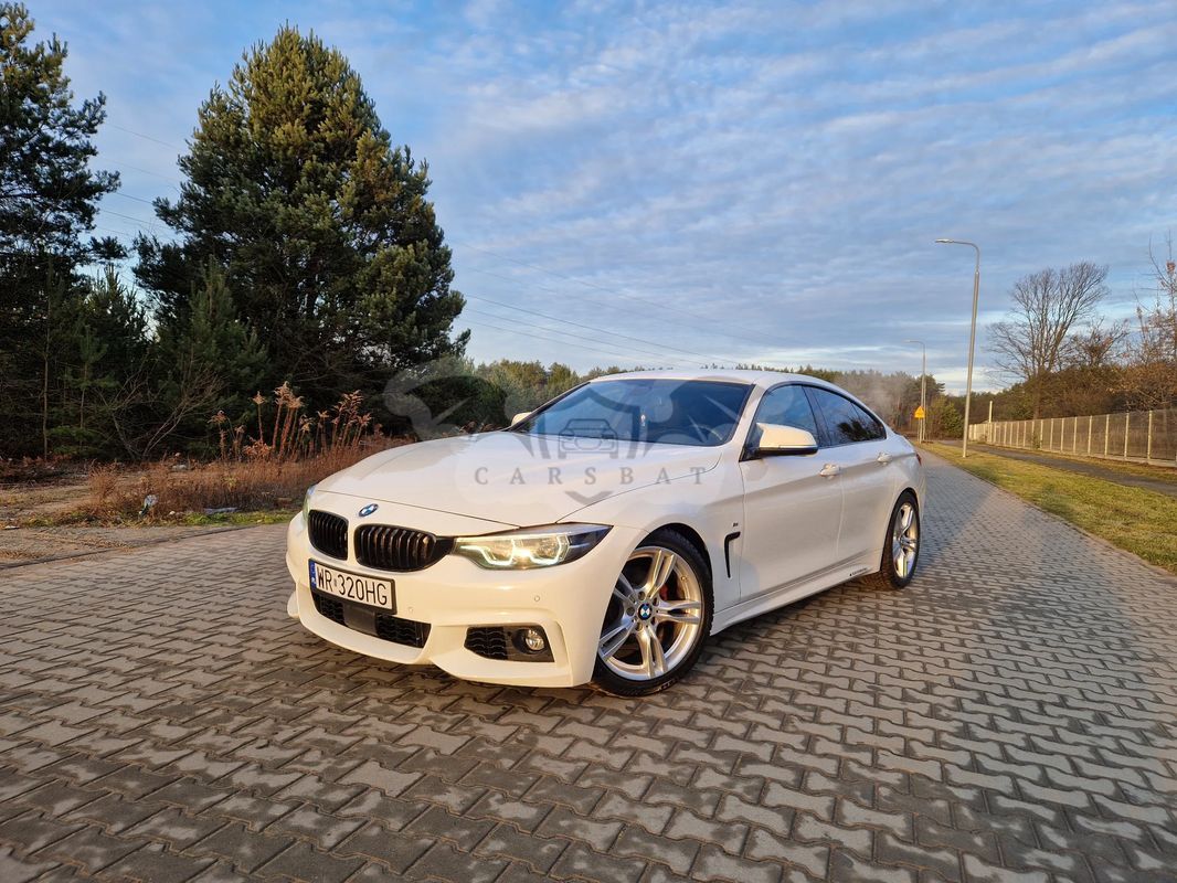 BMW 4 Series I 428i M Sport sport 2017