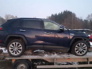 Toyota Rav4 V 2.5 Hybrid Executive 4x4 2021