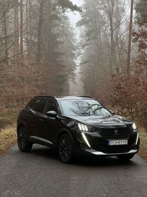 Peugeot 2008 II 1.5 BlueHDi GT S&S EAT8 2021