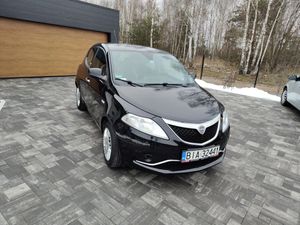 Lancia Ypsilon Y 1.2 8v Gold 2016