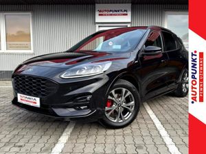 Ford Kuga III 2022