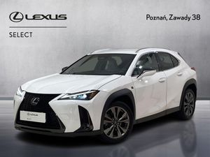 Lexus UX 300h F Sport Design 2024