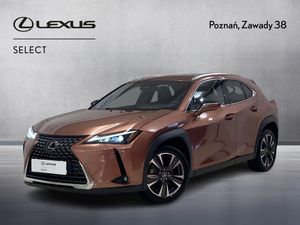 Lexus UX 300h Business 2024